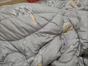 雅鹿全棉丝棉被8斤被子冬被6斤五星级酒店民宿宾馆单双人宿舍空调被芯 纳米抗菌-蓝 150*200cm 8斤冬被 实拍图