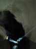 多尼斯（DOGNESS）狗狗牵引绳遛狗绳狗链子项圈大型犬阿拉斯加萨摩耶哈士奇 黑XL 实拍图