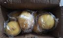 京喜加安岳黄柠檬泡水喝 新鲜水果  清香浓郁细腻 带箱3斤大果（单果150g+） 实拍图