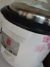 三角牌（Triangle）电饭煲家用迷你电饭锅1.5L煮饭锅学生宿舍电煮锅1人用 TG-Z15X18J 实拍图