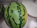 京鲜生 无籽麒麟西瓜 1粒装 单果5-7斤 生鲜水果 实拍图