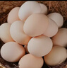 土鸡蛋初生蛋月子鸡蛋鲜鸡蛋柴鸡蛋现捡现发月子鸡蛋40-50g±5g 60枚土鸡蛋 实拍图