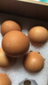 兰皇无菌蛋omega-3营养型新鲜鸡蛋类可生吃食用糖溏心蛋温泉蛋礼盒装 20枚 实拍图