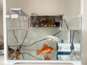 森森超白桌面小鱼缸生态玻璃缸水草缸客厅造景金鱼缸HWK-420P裸缸 实拍图