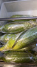 滇味十足（DIANWEISHIZU）水果玉米甜玉米云南金银双色新鲜甜嫩水果玉米棒鲜玉米茄果瓜 金银双色 【精选9斤】（净重 约10-16根） 实拍图