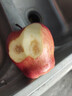 馋半仙甘肃天水产地花牛粉面苹果 新鲜水果好礼粉粉面苹果 带箱5斤（70-75mm果） 实拍图
