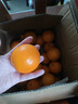 果果牛湖南麻阳冰糖橙 应当季新鲜水果手剥甜橙子高山夏脐血多汁 可选 净重9斤(单果60-65mm)推荐 实拍图