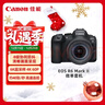 佳能（Canon）EOS R6 Mark II R6二代 新标准全画幅微单相机R62 24-105 STM标准镜头套装 实拍图