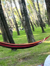 探险者（TAN XIAN ZHE）户外露营休闲加厚加宽帆布吊床 室内弯木防侧翻 单人红色月牙吊床 实拍图
