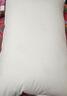 水星家纺枕头枕芯酒店枕头护颈枕头芯家用单个纯棉抗菌可水洗中枕48x74cm 实拍图