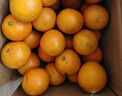 果果牛湖南麻阳冰糖橙 应当季新鲜水果手剥甜橙子高山夏脐血多汁 可选 净重9斤(单果60-65mm)推荐 实拍图