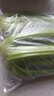 【产地顺丰】寿光大西芹新鲜蔬菜去叶西洋芹脆嫩芹菜榨汁水果西芹 产地顺丰+现摘现发+出汁保障 去叶发货【3斤】 实拍图