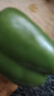 新鲜绿菜椒现摘山东圆椒青椒太空甜椒蔬菜灯笼椒生吃蔬菜沙拉 新鲜圆椒3斤 实拍图