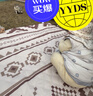 京东京造 户外野餐垫公园帐篷防潮垫露营垫超声波可机洗地垫美拉德2m*2m 实拍图