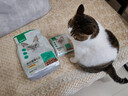 网易严选全价猫粮4.0 宠物主粮成幼猫无谷鲜肉 鸡鸭禽肉味50g*2 试吃试用  实拍图