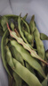 京鲜生山东新鲜油豆角1.8斤装新鲜蔬菜源头直发包邮 实拍图