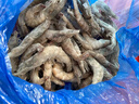 PHUKEY SEA厄瓜多尔冻南美白对虾 只只分离 海鲜水产 3斤 (76-90只) 实拍图