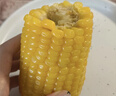 十月稻田 黄甜糯玉米 8根 3.52斤 真空包装 东北粘玉米棒 低脂早餐 实拍图