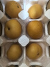 京鲜生山东烟台莱阳秋月梨净重4斤单果200g+ 新鲜水果 源头直发包邮 实拍图