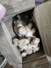 产地直发贵州镇宁新鲜现挖小黄姜生姜黄姜调味料新鲜蔬菜生鲜 半斤体验装 250g 实拍图