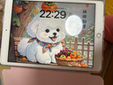 Apple 苹果 iPad 2/3/5/6/7/8/9/10/11代 二手平板电脑自营 iPad 7代 实拍图