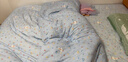 红豆A类正宗新疆棉花被子棉花被芯无异味加厚单双人家用宿舍春秋冬被 白蓝【真A类-正宗新疆棉花被】 180x220cm约8斤【冬被】 实拍图