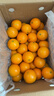 京鲜生 广西皇帝柑/贡柑 净重9斤 单果100g起 生鲜水果礼盒 实拍图