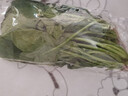 大菠菜300g 实拍图