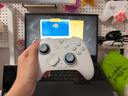 飞智冰原狼4多模版无线游戏手柄 类xbox 力调节摇杆双切扳机 switch电脑PC手机steam体感NS 丝之歌 实拍图