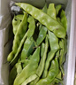 京鲜生山东新鲜白芸豆净重1.8斤装白不老新鲜蔬菜源头直发包邮 实拍图