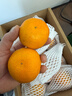 京鲜生 无核蜜桔 精选5斤装橘子/桔子  单果100g+ 生鲜水果礼盒 实拍图