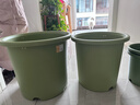 爱丽思花盆塑料深型树脂花盆特大号多肉花盆种花种菜盆爱丽丝 14号浅绿 实拍图