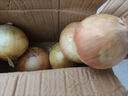 新鲜黄洋葱黄金水果洋葱即食蔬菜调料烧烤食材 新鲜黄洋葱 500g 含箱 实拍图