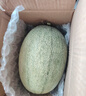 京鲜生 海南哈密瓜 西州蜜/西周蜜 1粒装 单果2.5斤起 生鲜水果 实拍图