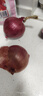 京鲜生 云南紫皮洋葱 净重3斤 新鲜洋葱头 精选大果 新鲜蔬菜源头直发 实拍图