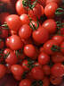京鲜生山东千禧贝贝小西红柿 圣女果 净重2.8斤源头直发 实拍图