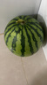 京鲜生 无籽麒麟大西瓜 1粒装 7-9斤 生鲜水果 实拍图