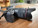 佳能r63\三代 Mark III 全画幅微单相机 vlog摄影器材 4K高清拍摄套机相机 【新品现货发售】R6三代+RF24-105 USM套 套餐四【下单套餐4免费升级套餐5配件升级不加价】 实拍图