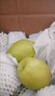 京鲜生 新疆特级库尔勒香梨 净重5斤单果120g以上 生鲜水果 实拍图