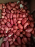 珍田阁红衣生花生米四粒红花生仁新鲜红皮不带壳生的新货 红皮花生米（生 1000g 实拍图