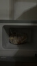 志高（CHIGO）小冰箱迷你小型家用冷藏冷冻两用宿舍出租房用双门办公室电冰箱节能省电 【一级能效】66L银色【三天约一度电】 实拍图
