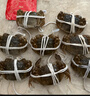 【活蟹】阳澄联合鲜活大闸蟹现货全母2.5-2.8两 8只生鲜螃蟹去绳足重海鲜礼盒源头直发 实拍图