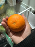 京鲜生 四川爱媛38号果冻橙 净重5斤 单果130g起 生鲜水果柑橘桔子礼盒 实拍图