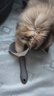 茨格曼猫梳子梳毛刷猫咪去浮毛猫毛清理器除毛器针梳狗狗梳子宠物用品 实拍图