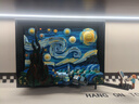 乐高（LEGO）积木21333梵高星月夜18岁+玩具 IDEAS系列旗舰限定款 家居装饰 实拍图