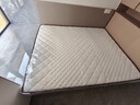 海马飞雪床垫席梦思天然椰棕乳胶独立弹簧床垫酒店厚薄双人家用榻榻米垫子 15cm双面款(乳胶+独立弹簧+椰棕) 1.5x1.9米 实拍图