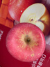 京鲜生 山东栖霞红富士苹果精品12粒 单果190g-240g  水果礼盒 实拍图