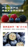 京鲜生 蓝莓2盒+红树莓2盒+黑莓2盒 净重680克 生鲜水果礼盒 实拍图
