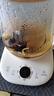 小熊（Bear）养生壶 1.5L煮茶壶煮茶器 玻璃花茶壶 316不锈钢恒温水壶烧水壶电热水壶 YSH-E15M1 实拍图