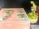 森宝积木音乐盒积木花八音盒家居摆件女孩生日新年礼物 花颜茶语611050 实拍图